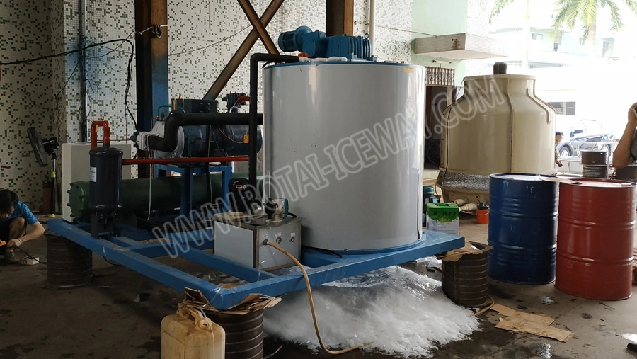 Energy Saving 12mt/24hr Flake Ice Making Machine for Food Processing