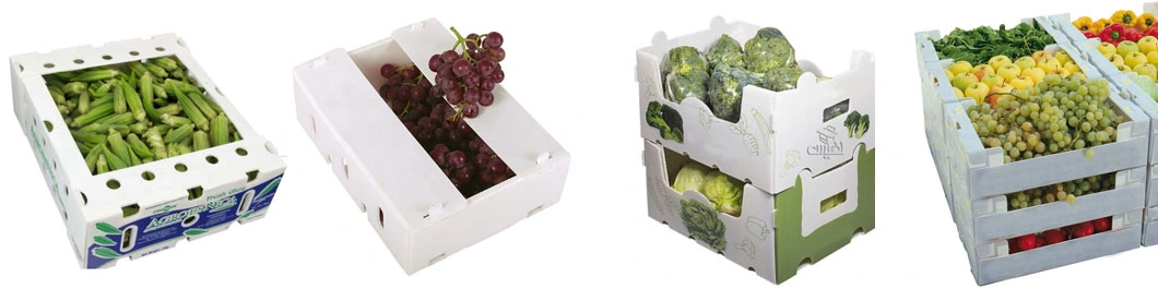 Corflute Coroplast Corrugated Plastic Pallet Sheet/Board Dividers Packaging Boxes fruit and Vegetable Seafood Boxes
