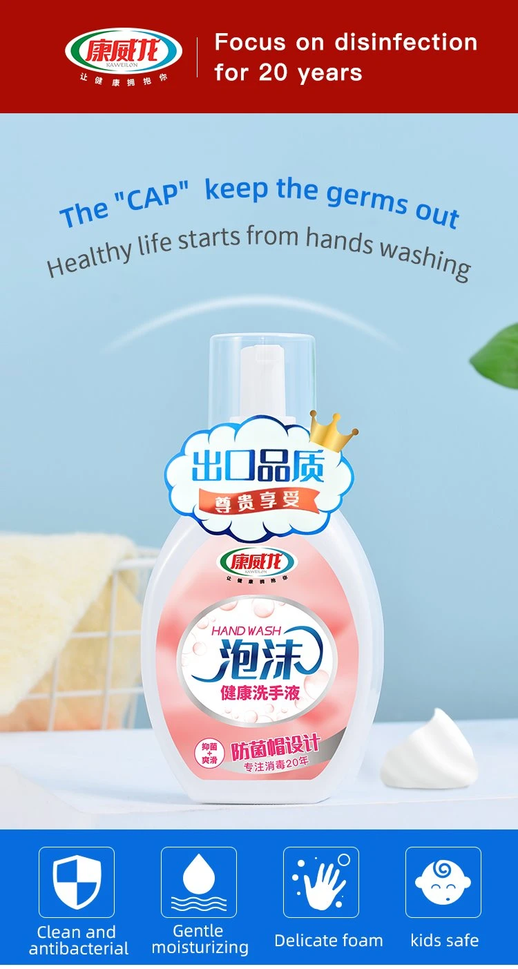 OEM Anti-Microbial 300ml Foaming Cleaning Hand Wash Liquid Hand Soap