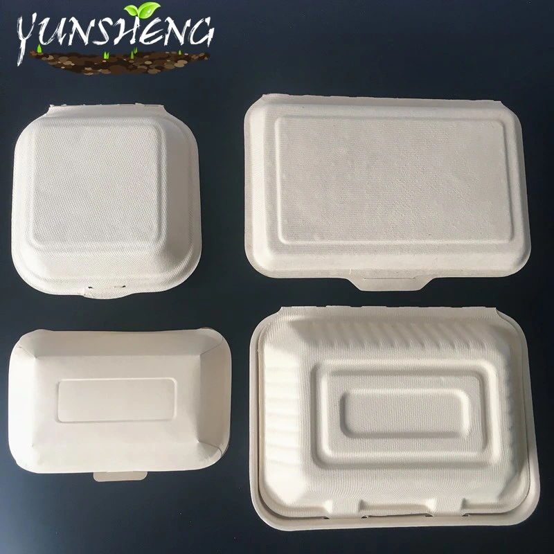 Biodegradable Disposable Takeout Paper Food Container Like Cake Boxes or Hamburger Boxes