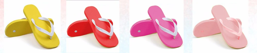 New Style EVA Sandals and Slippers Fashion Flip-Flops Arch Support Cheap EVA Sandals