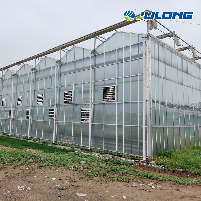 Multi Span Polycarbonate Greenhouse with Hydroponics System for Strawberry/Lettuce/Cucumber/Tomato/Pepper Planting