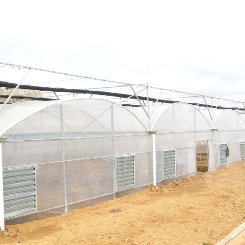 Agriculture/Commercial Polyethylene Film Tunnel Greenhouse for Strawberry/Rose