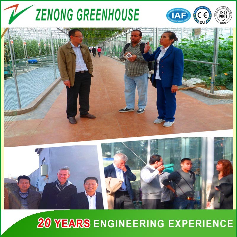 Commercial Multi-Span PC Sheet Intelligent Greenhouse for Tourism/Flower Market/Seedling Breeding