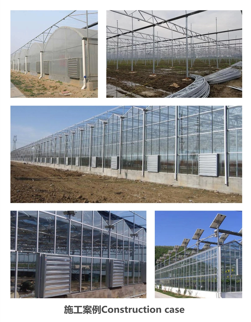 Favorable Price Hydroponic Drip Irrigation System for Photovoltaic (PV) Intelligent Greenhouse
