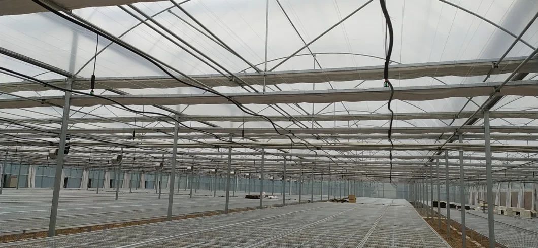 Po/ PE Tunnel Greenhouse for with Shading Net