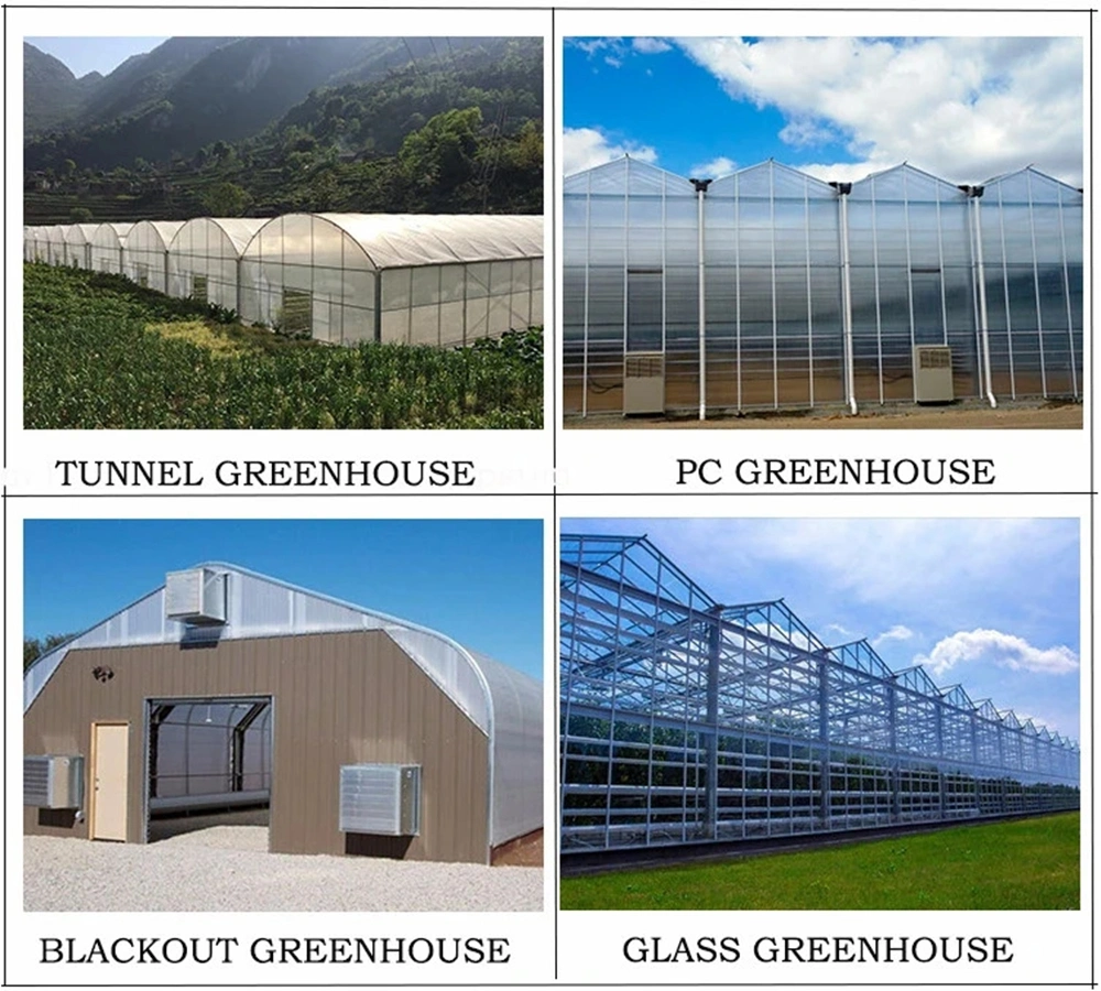 High Tunnel/Multi-Span Plastic Film Commercial/Agricultural Nursery Greenhouse with Hydroponic/Shading Net System