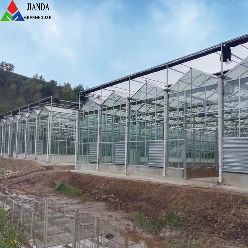 Venlo Glass Greenhouse for Planting/Farm/Aquaculture/Livestock Breeding/Ecological Restaurant