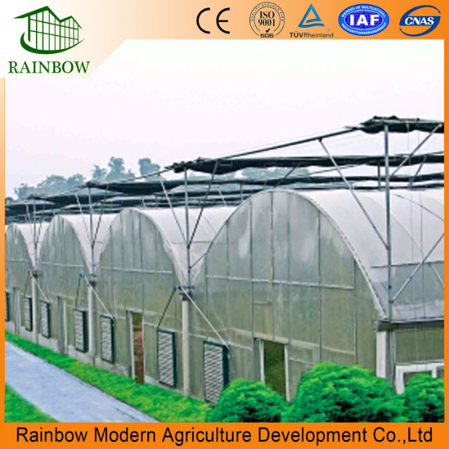Agricultural Greenhouse Strawberry Greenhouse Outside Shading System