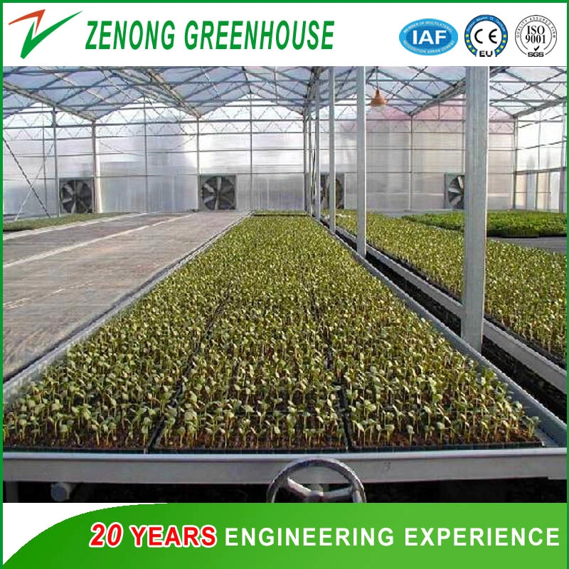 Tropical PC Greenhouse with Nft Hydroponic Growing System