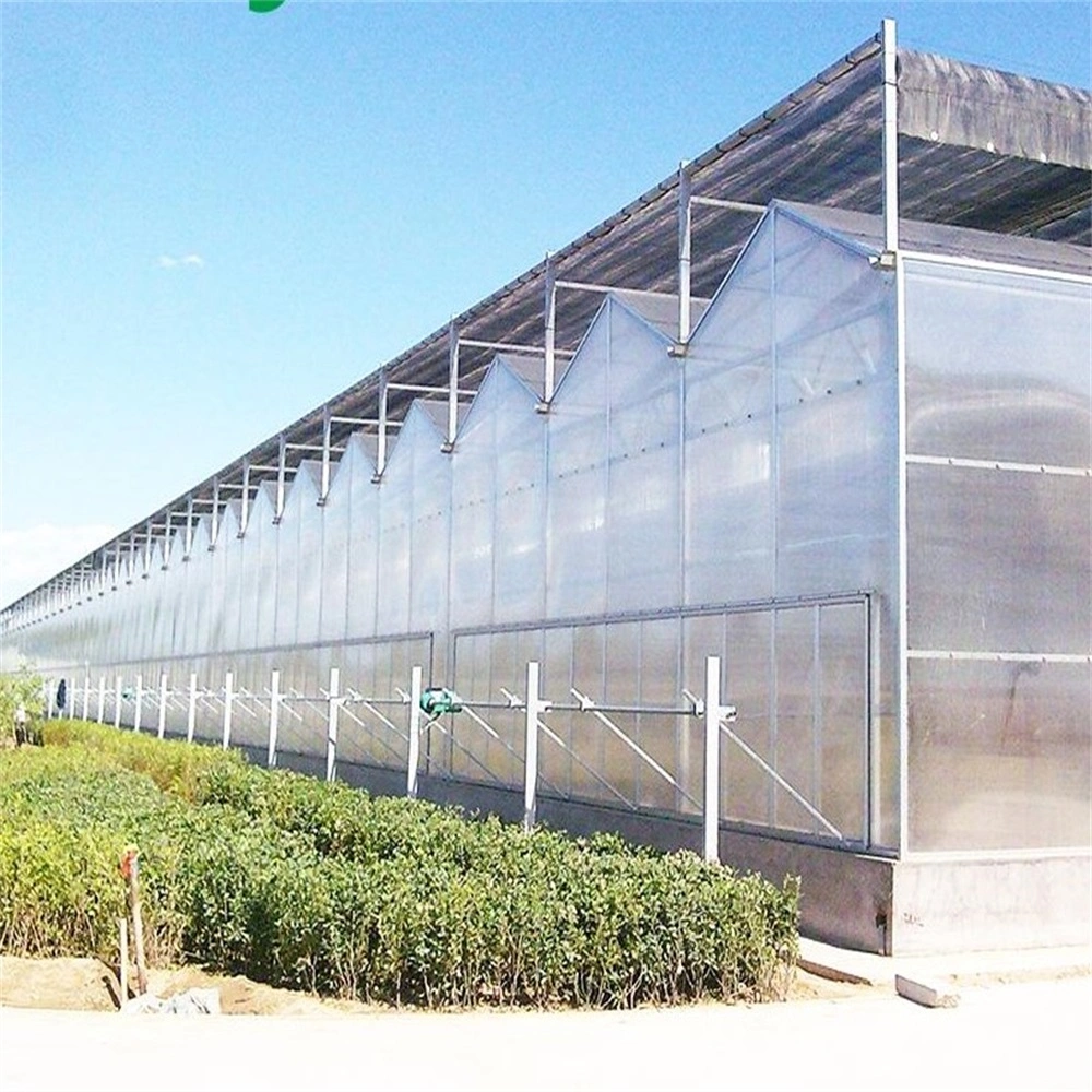 Polycarbonate PC Green Houses/Cucumber Greenhouse/Strawberry Greenhouse