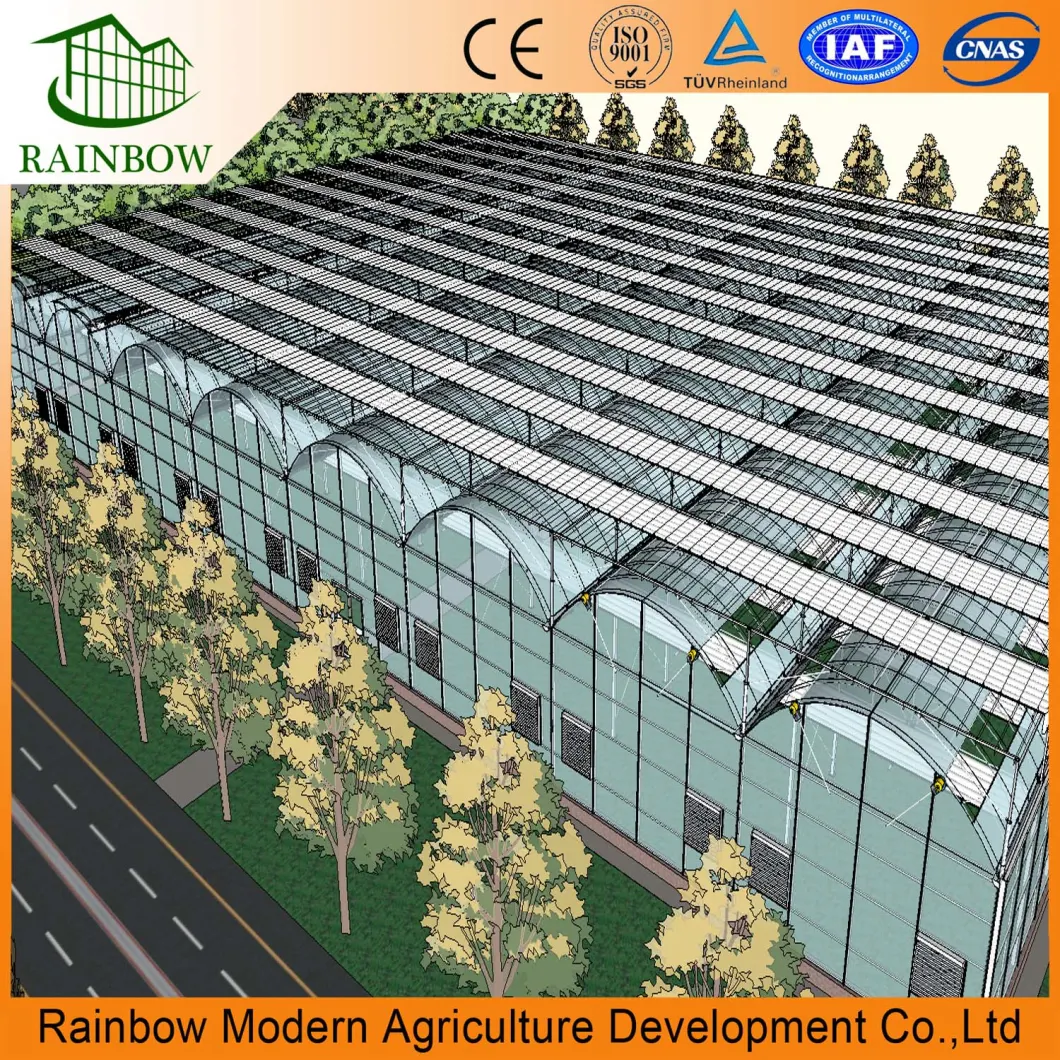 Multi Span Greenhouse with Ventilation System and Shading System