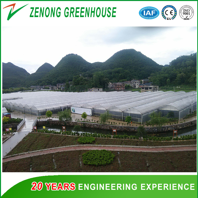 Commercial Multi-Span PC Sheet Intelligent Greenhouse for Tourism/Flower Market/Seedling Breeding