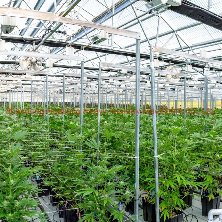 Light Deprivation Cbd Greenhouse for Hemp Growing