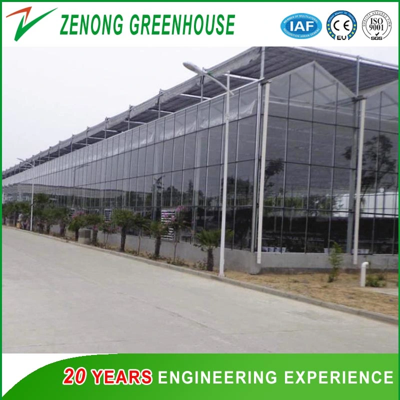 Multi Span Glass Greenhouse Intelligent Glass/PC Greenhouse for Planting/Cultivation/Agriculture