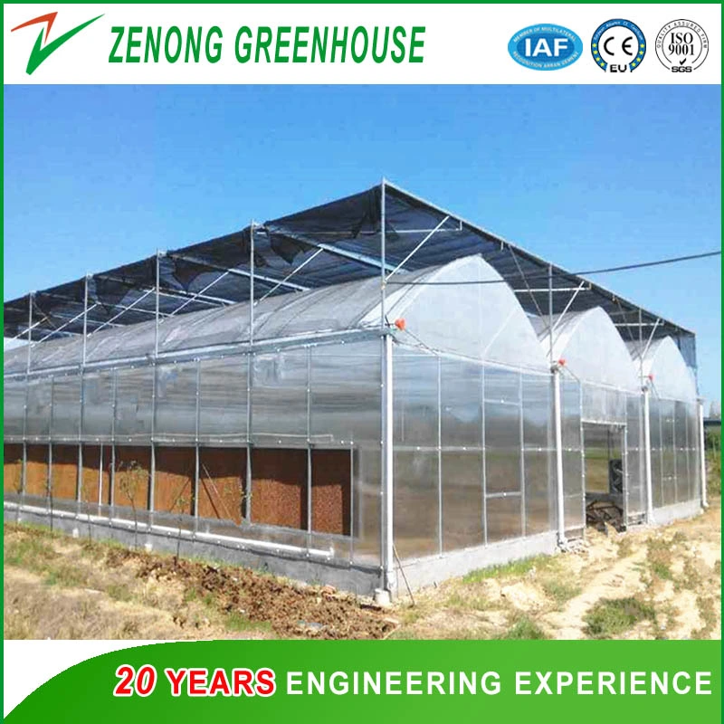 Polycarbonate Sheet Covered PC Greenhouse with Galvanized Steel Frame for Vegetables/Flowers/Seed Breeding