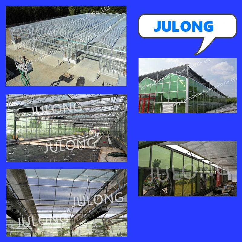 Venlo Multi-Span Glass Gable Venlo Greenhouse with Hydroponic Growing Technology