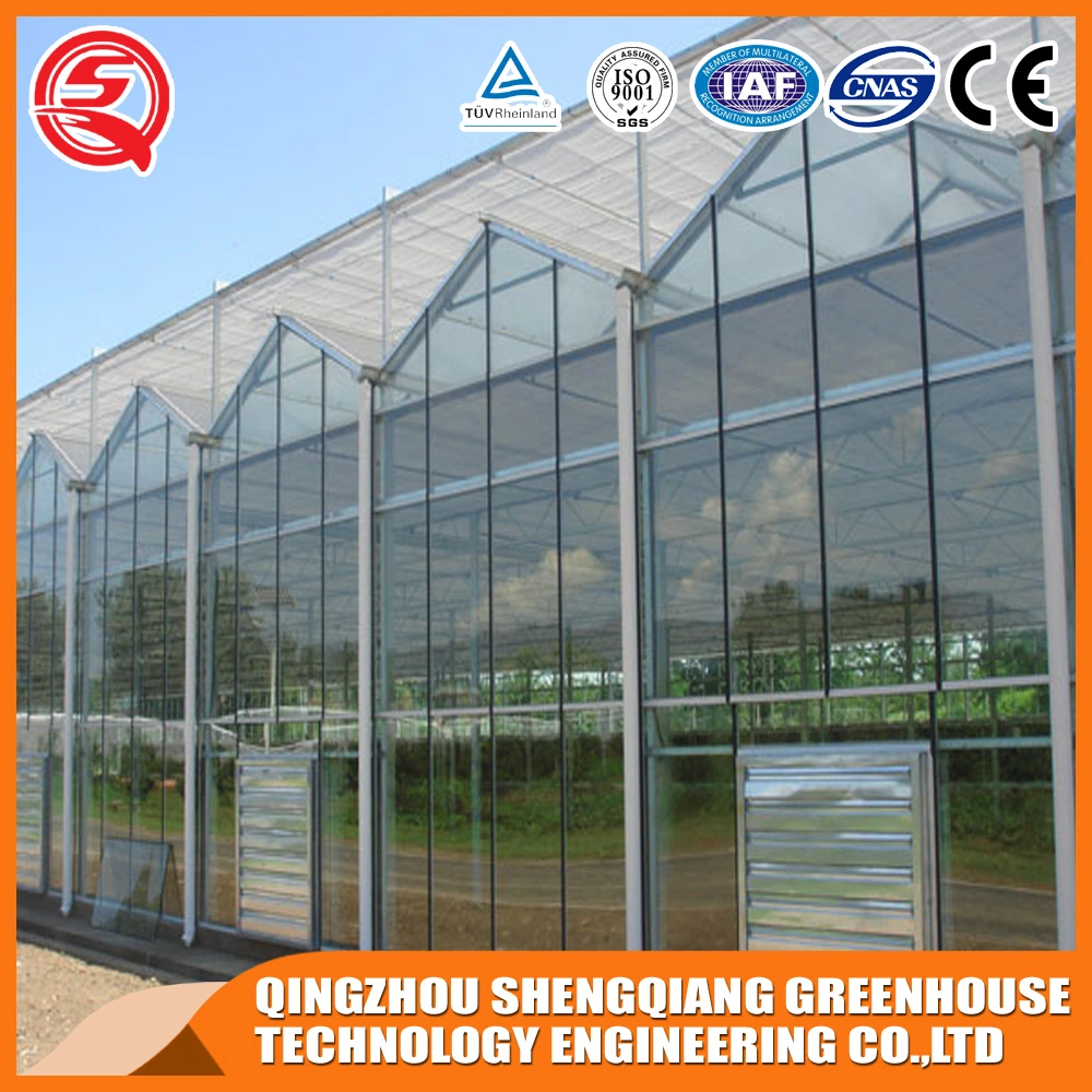 PC Sheet Greenhouse for Sale/Aquaponic System Greenhouse