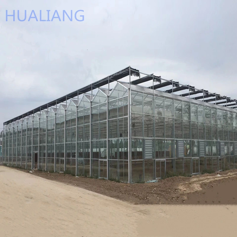Low Cost Large Multi-Span Smart Automatic Control Commercial Vegetable Cucumber Glass Greenhouse for Sale
