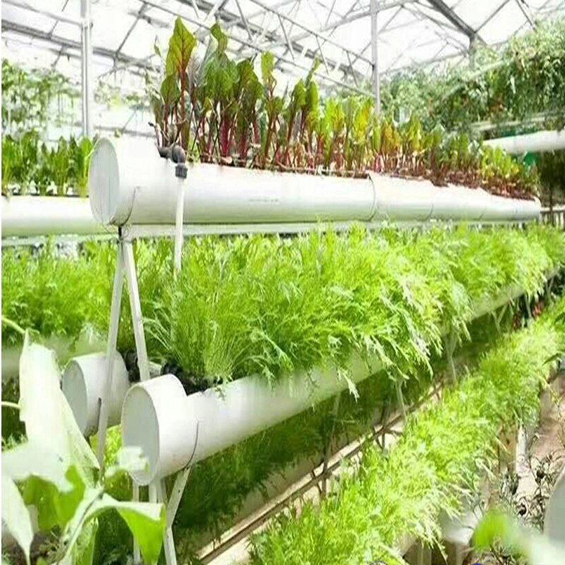 Venlo Agriculture Multi Span Glass Greenhouse for Vegetables/Flowers/Tomato/Cucumber/Garden
