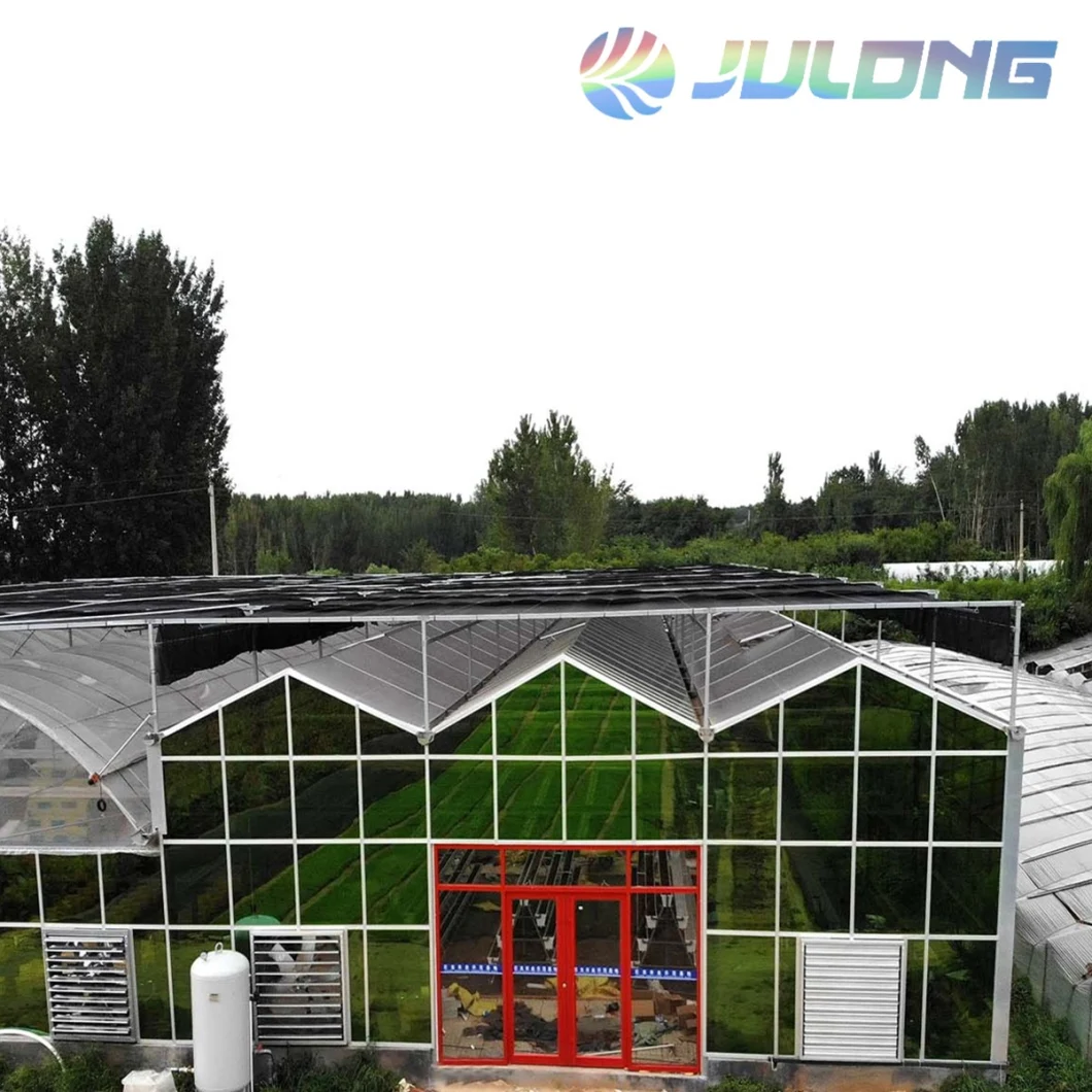 Hot Sale Vegetable Hydroponic Greenhouse for Aquaponic System Garden Farm