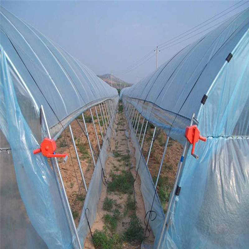 Cheap Agriculture Greenhouse for Vagetables/Tomatoes/Cucumber