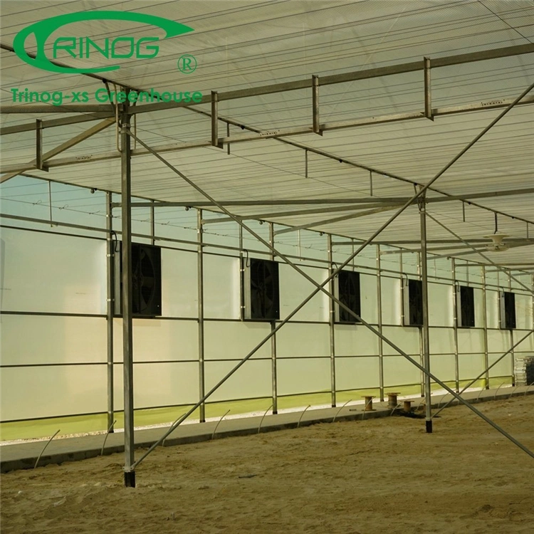 Agriculture Multi-Span Film Greenhouse with Inner Shading System for Vegetables/Flowers/Tomato/Farm/Garden