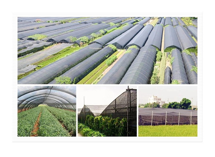 HDPE Green Agricultural Green House Sun Shade Net