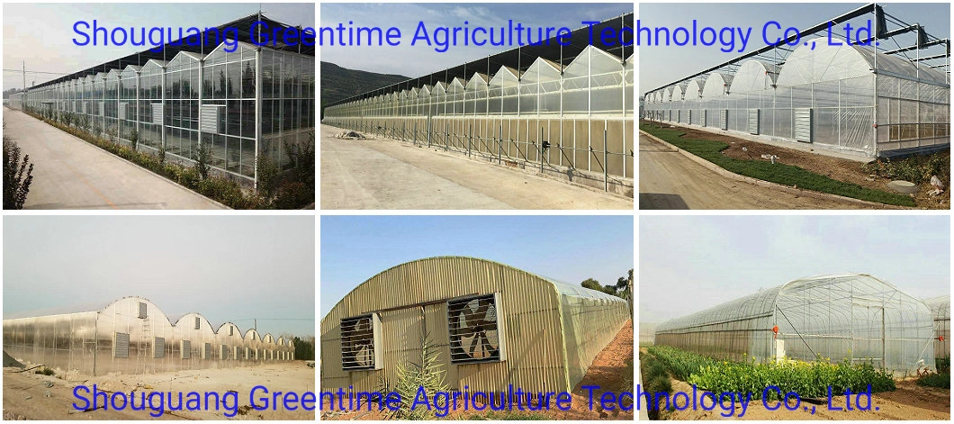Multi-Span Film/Polycarbonate/PC Sheet/Tunnel/Agricultural Greenhouse with Internal Shading System