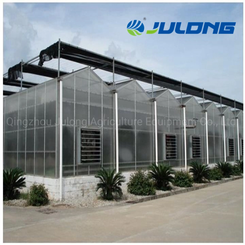 China Suppliers Polycarbonate Greenhouse with Seeded/Hydroponics System for Lettuce/Tomato/Cucumber Growing