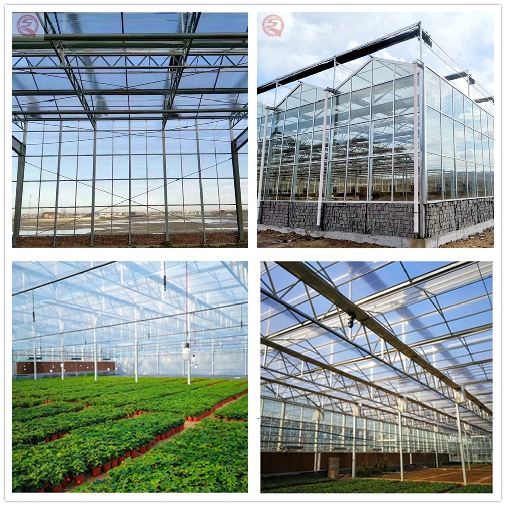 Agricultural/Commercial High Tunnel Multi-Span Glass Greenhouse Hydroponic for Farming/Vegetables/Flowers/Tomato/Aquaponic/Sightseeing