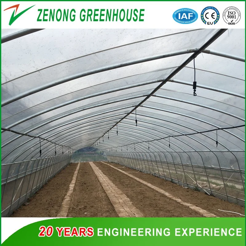 Plastic Film Single Tunnel Greenhouse with Shading Net for Mushroom/Cherry/Strawberry/Broccoli