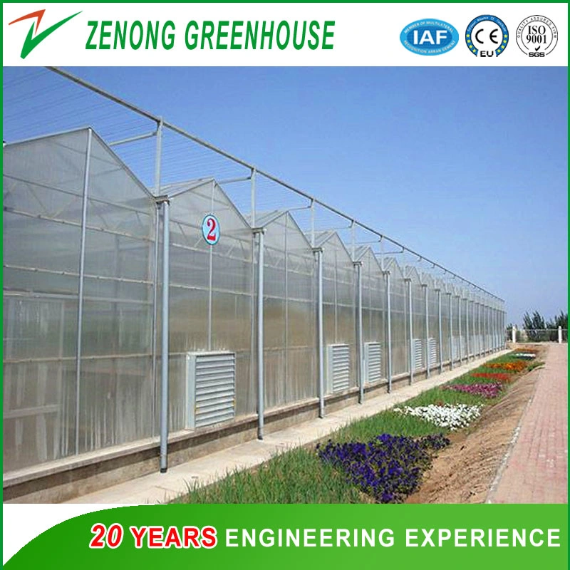 Modern Intelligent Greenhouse Covered with PC Plate for Agriculture Seed Breeding