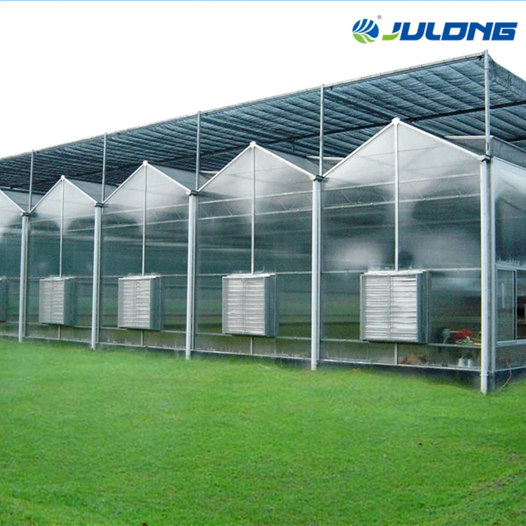 Professional Design Agricultural Hydroponics Greenhouse for Sale