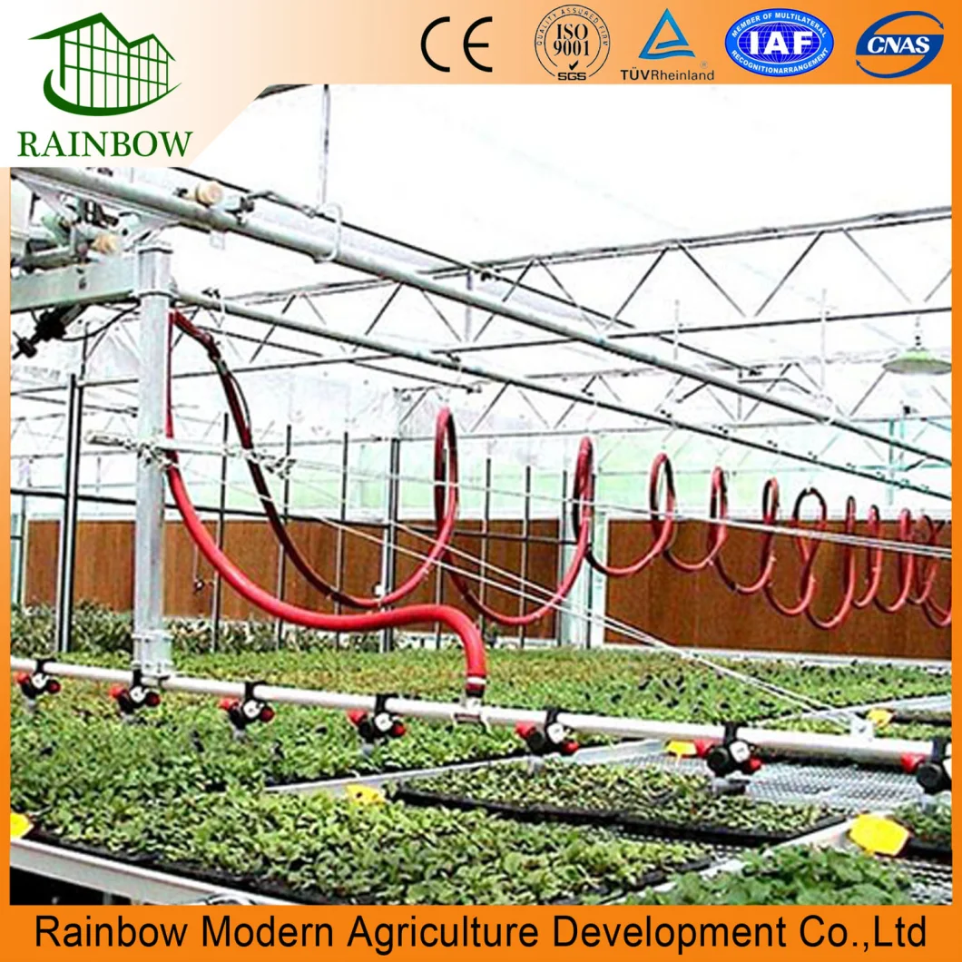 Farm Polycarbonate PC Venlo Greenhouse for Tomato Cucumber Vegetable Growing