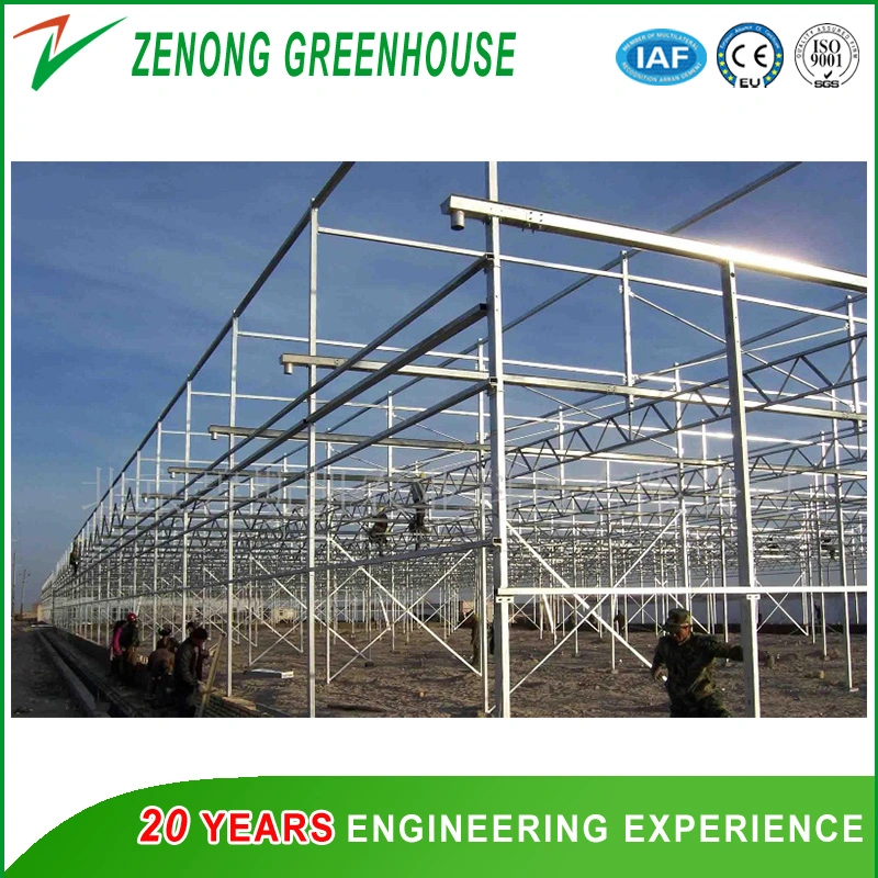 Venlo Glass Greenhouse with Mist-Irrigation System for Seed Breeding/Flowers