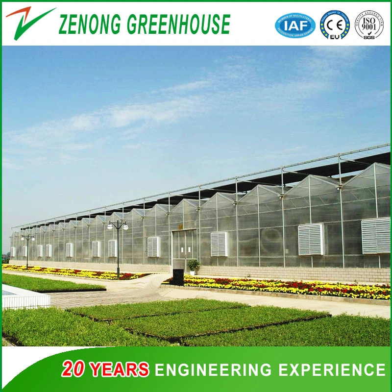 Intelligent Venlo Greenhouse PC Board Covered Greenhouse for Planting Vegetables/Tomato/Cucumber