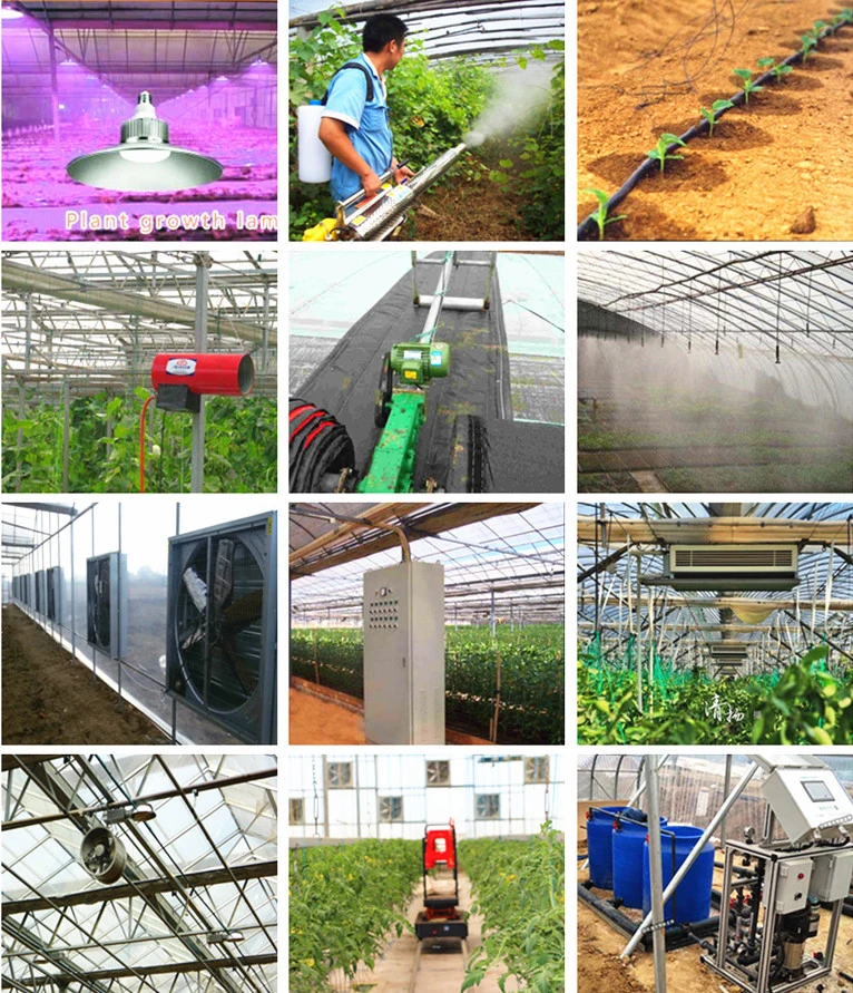 Venlo Glass Greenhouse with Mist-Irrigation System for Seed Breeding/Flowers