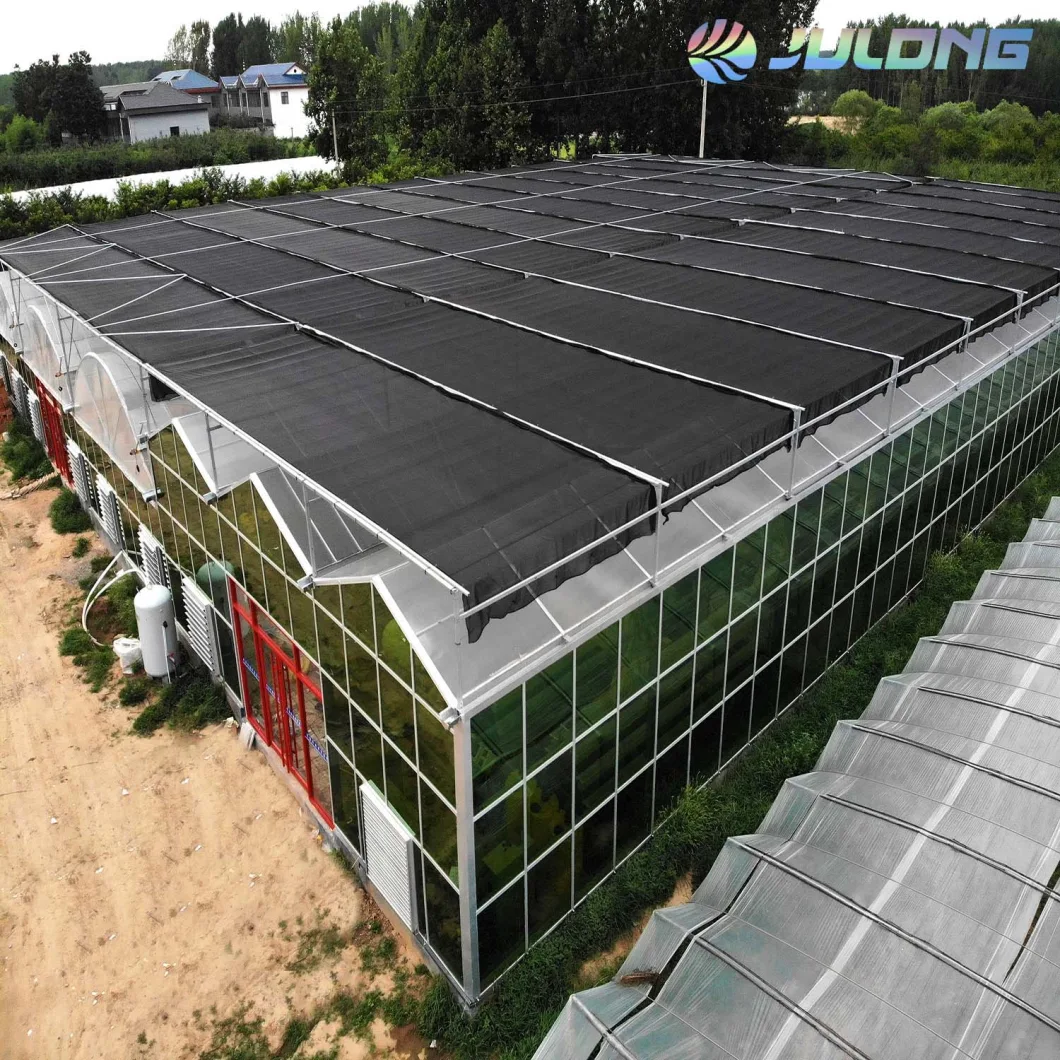 Multi-Span Greenhouse with Hydroponics for Strawberry Tomato Agriculture Products Glass Greenhouses