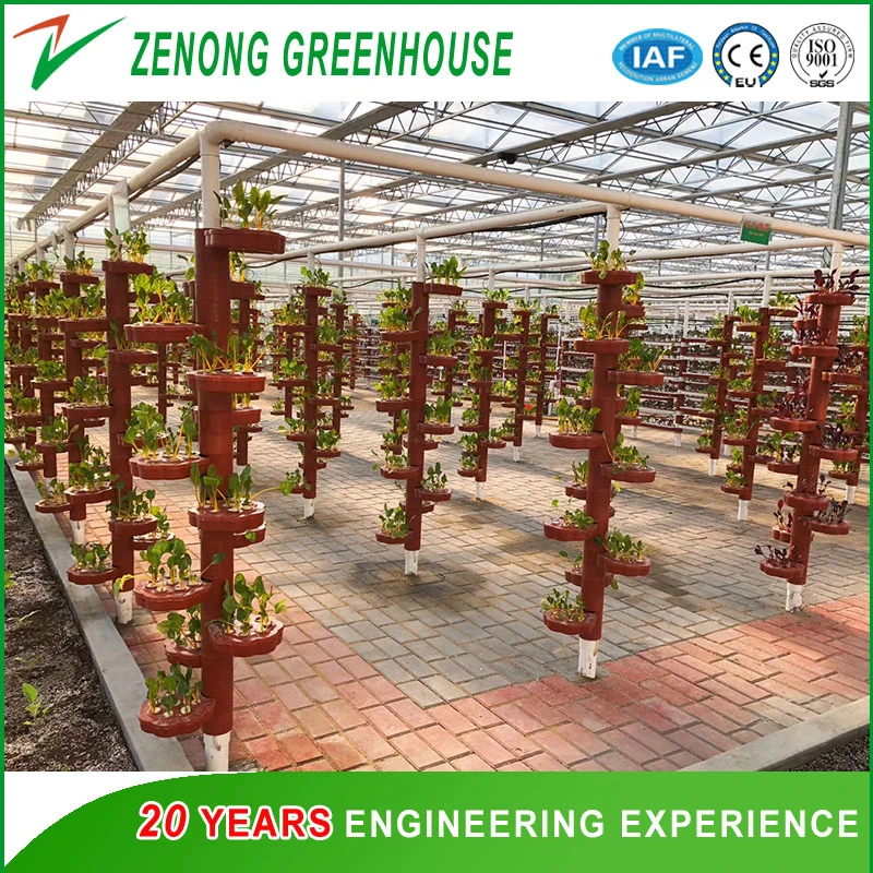 Greenhouse Farming Agriculture Greenhouse Hydroponic Greenhouse Seed Breeding Greenhouse for Sale