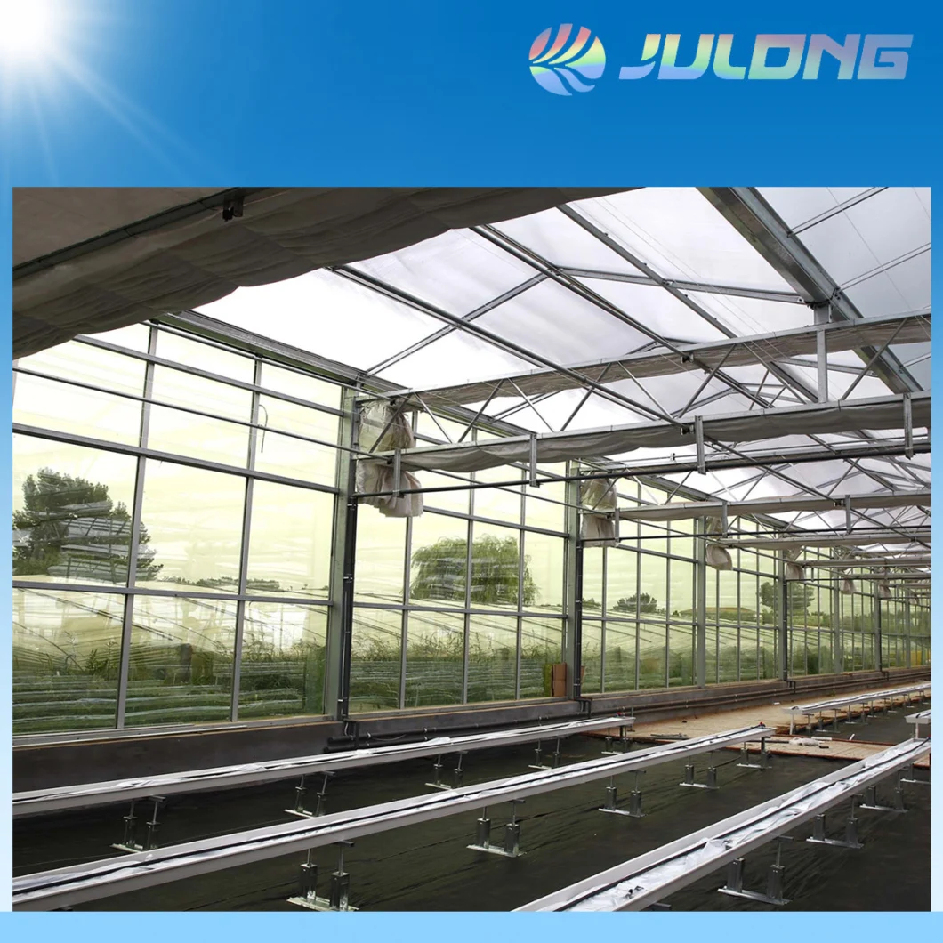 Venlo Glass Multi-Span Greenhouse Agriculture Greenhouse for Aquaponic Farm