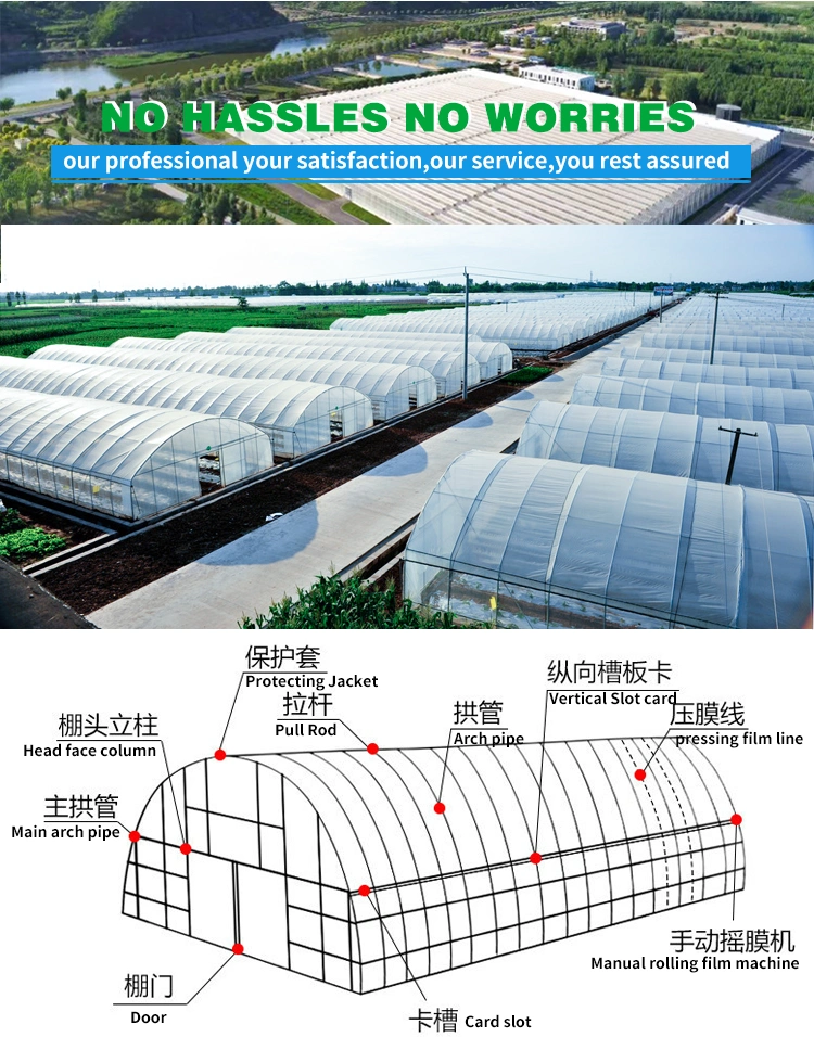 The Single Miniature Agriculture Tomato Film Greenhouse with Greenhouse Shading Net for Vegetable Growing