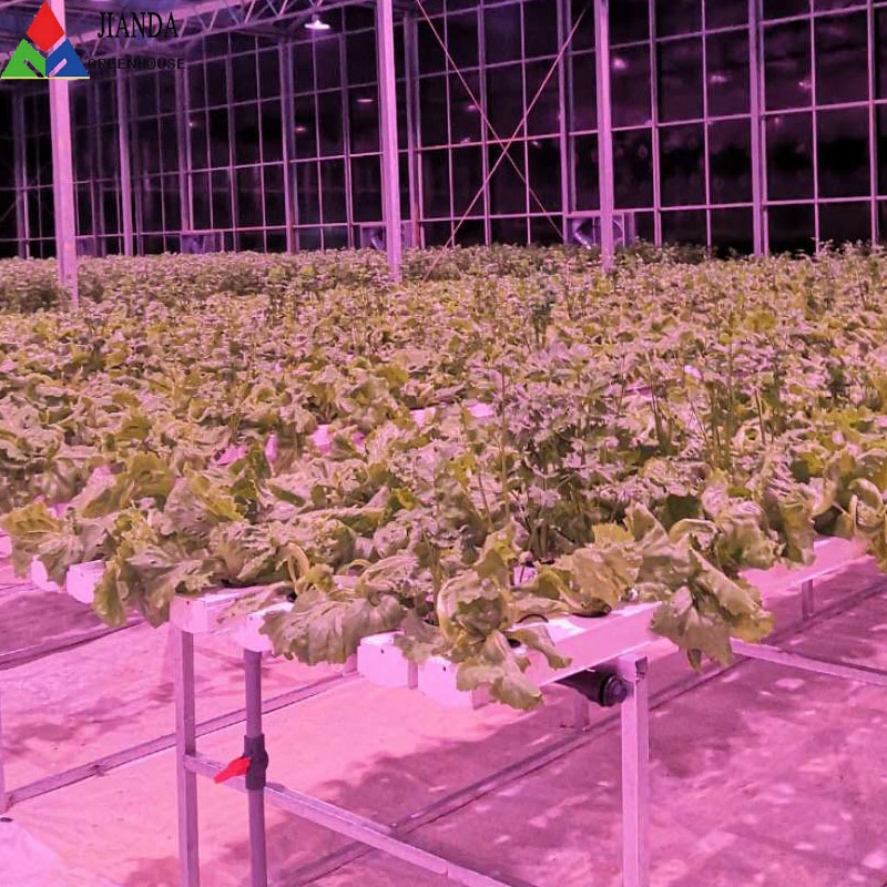 Multi-Span Greenhouses Agriculture Commercial Greenhouse Plastic Film for Vegetables