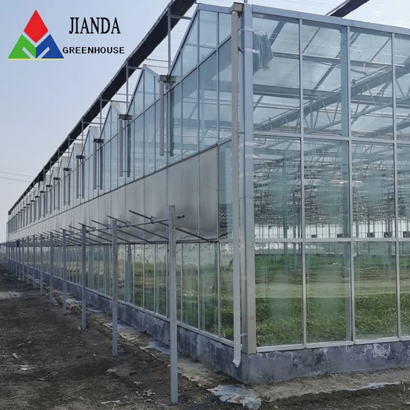 China Commercial Hydroponic System 5mm Tempered Glass Greenhouse for Vegetable Growing