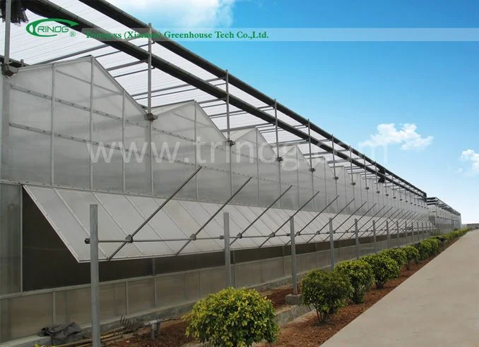 Auto shading screen Polycarbonate Agricultural Greenhouse with motor vent