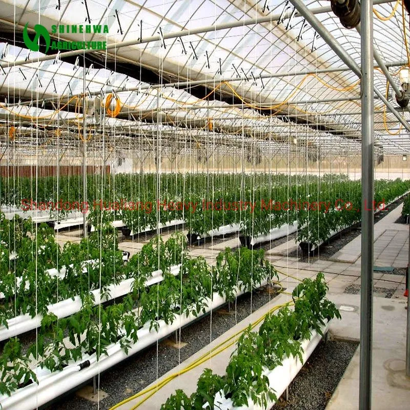 Intelligent Plastic Film Greenhouse for Cannabis/Hemp Growing