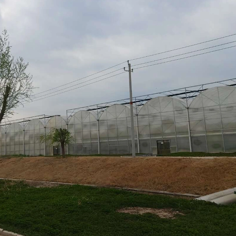 The Smart Agricultural Plastic Po Film Greenhouse for Sale