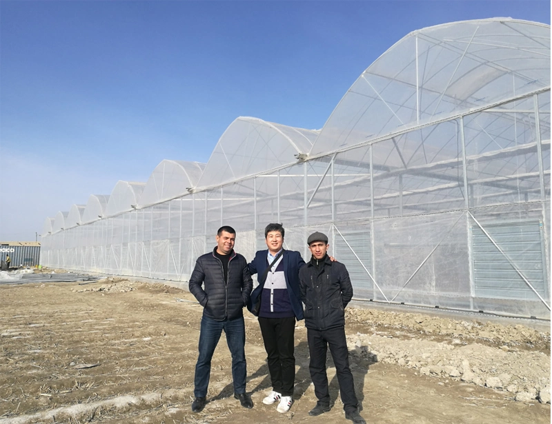 Venlo Agriculture Multi Span Glass Greenhouse for Vegetables/Flowers/Cucumber/Tomato/Farm/Garden