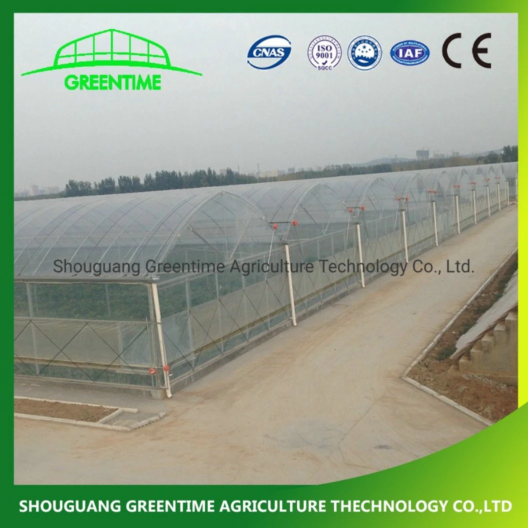 Cheap Greenhouse with Cooling System