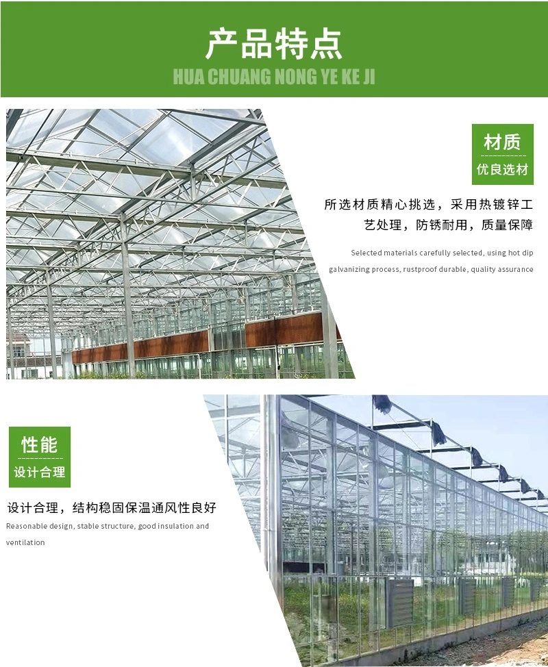 Customized Design Commercial Hydroponics Industrial Photovoltaic (PV) Intelligent Greenhouse